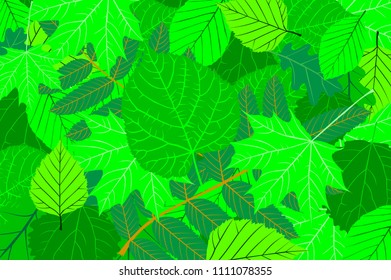 Tree leaves - green natural background - vector