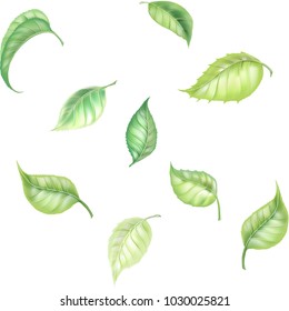 tree leaves green seamless texture 3d realistic vector, background
