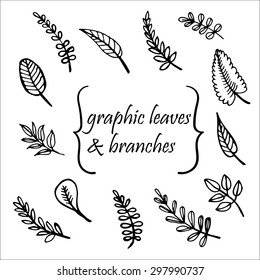 tree leaves hand drawn vector illustration
