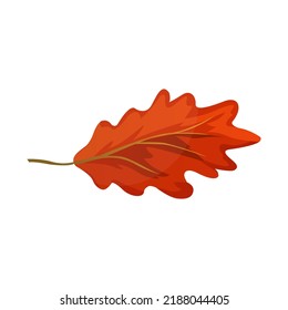 tree leaves icon, vector illustration