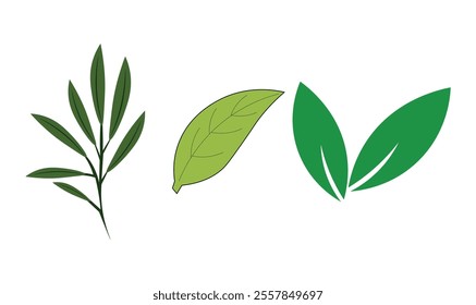 
Tree leaves icon vector illustration for use.