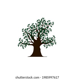 tree and leaves icons vector illustration