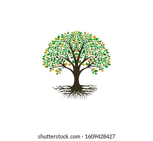 Tree with leaves illustration, roots vector isolated.