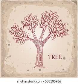 Tree with  leaves isolated on Vintage old paper  background. antique alphabet. Freehand drawing vector illustration. Vintage  engraving. Retro style
