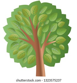 Tree with leaves. isolated on a white background. tree with a crown of leaves