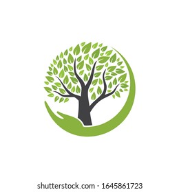 tree with leaves isolated on white background