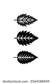 Tree leaves   isolated on white background. black silhouettes of leaves vector. Tropical exotic leaves 