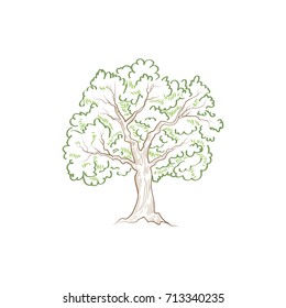 Tree with leaves isolated. Summer nature sign Vector illustration
