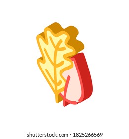 tree leaves isometric icon vector. tree leaves sign. isolated symbol illustration