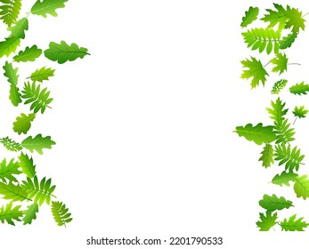 Tree leaves lush vector wallpaper. Tropical tree foliage macro. Rowan and oak leaves isolated. Herbal eco concept. Ecology rustic backdrop.