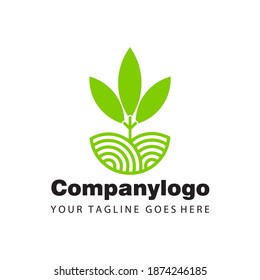 Tree with leaves, modern illustration for company logo, packaging natural products, organic shops, cosmetics, clothing. a simple flat vector design