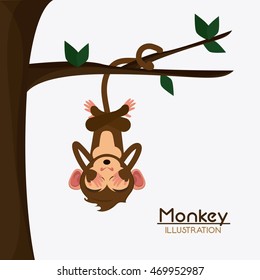 tree leaves monkey cartoon animal ape icon. Colorful design. Vector illustration