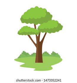 Tree with leaves nature cartoon at park ,vector illustration graphic design.
