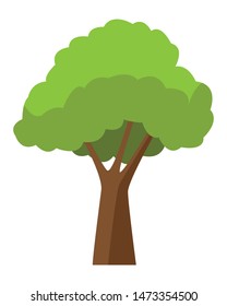 Tree with leaves nature cartoon ,vector illustration graphic design.