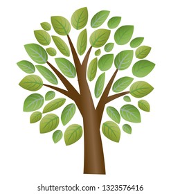 Tree with leaves. On a white background tree with green foliage. Take care of trees