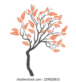 tree with leaves on white background