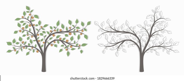 Tree with leaves and orange fruit in two versions black and white and colored on a white background