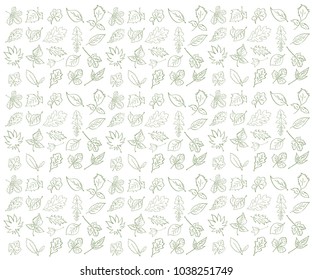tree leaves pattern. leaves of birch, oak, maple, linden, lilac, dandelion. green pattern in white background