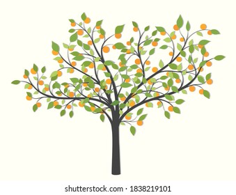 Tree with leaves and red fruit on a light background