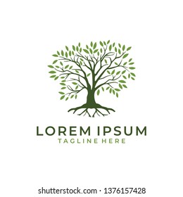 Tree leaves root logo