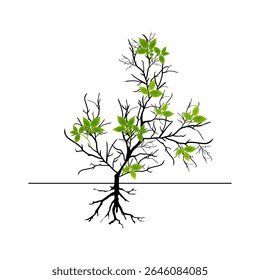 Tree with leaves and roots. Tree branch image on a white background. Vector illustration.