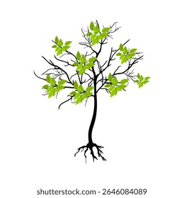 Tree with leaves and roots. Tree branch image on a white background. Vector illustration.