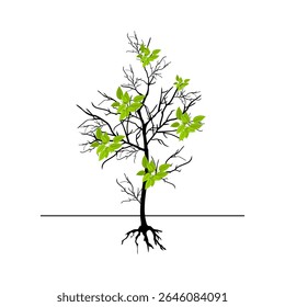 Tree with leaves and roots. Tree branch image on a white background. Vector illustration.