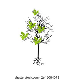 Árvore com folhas e raízes. Imagem da ramificação da árvore em um plano de fundo branco. Ilustração vetorial.