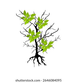 Tree with leaves and roots. Tree branch image on a white background. Vector illustration.