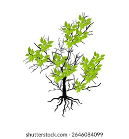 Tree with leaves and roots. Tree branch image on a white background. Vector illustration.