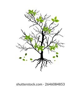 Tree with leaves and roots. Tree branch image on a white background. Vector illustration.