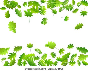 Tree leaves rustic vector wallpaper. Wild tree foliage macro. Mix of many different leaves pattern. Herbal organic concept. Farm plantation abstract backdrop.