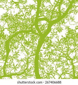 Tree with leaves seamless background light green and white . Vector