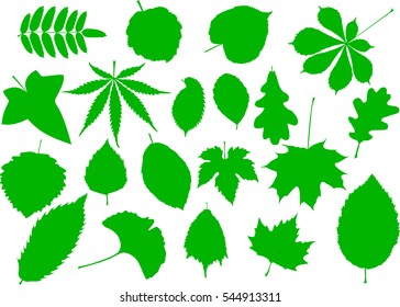 tree leaves set,silhouettes leaf, 