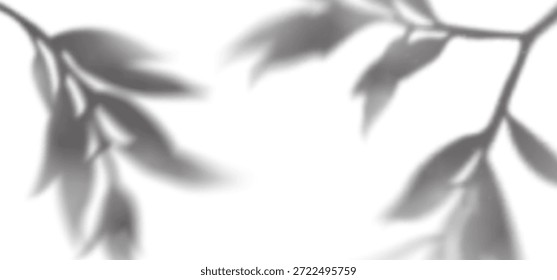Tree Leaves Shadow Background. Plant Branch and Leaf Overlay. Vector Transparent Summer Palm Shade. Abstract Summer Light Effect