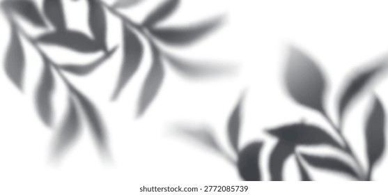 Tree Leaves Shadow Background. Plant Branch and Leaf Overlay. Vector Transparent Summer Palm Foliage Shade. PNG Abstract Summer Light Effect on White Wall.