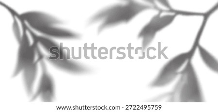Tree Leaves Shadow Background. Plant Branch and Leaf Overlay. Vector Transparent Summer Palm Shade. Abstract Summer Light Effect