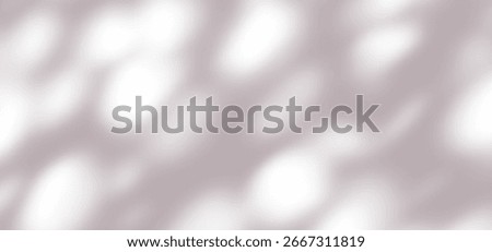 Tree Leaves Shadow Overlay Background. White Sun Light Gobo Effect. Abstract Nature Plant Pattern. Leaf Silhouette with Summer Sunlight Texture.