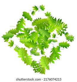 Tree leaves subtle vector backdrop. Realistic tree foliage macro. Rowan and maple leaves pattern. Herbal eco wallpaper. Farm plantation bright vector.