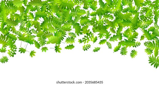 Tree leaves subtle vector wallpaper. Wild tree foliage closeup. Rowan and maple leaves flying. Botanical natural design. Plant elements beautiful vector.