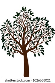 tree with leaves summer vector