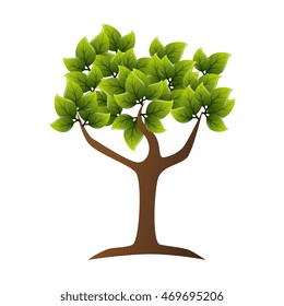 tree leaves trunk branch green nature ecology vector illustration isolated