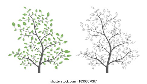 Tree with leaves in two versions on a white background