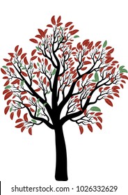 tree with leaves vector