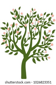 tree leaves vector