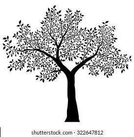 Tree With Leaves Vector