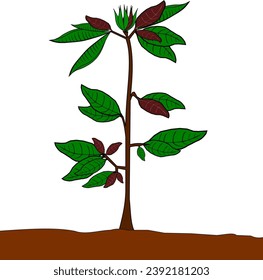 Tree with Leaves Vector Illustration