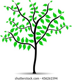 tree with leaves vector illustration