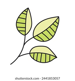 Tree leaves. Vector illustration in doodle style. Isolated on white background.