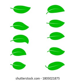 
Tree leaves. Vector set of ten drawings. Isolated white background.